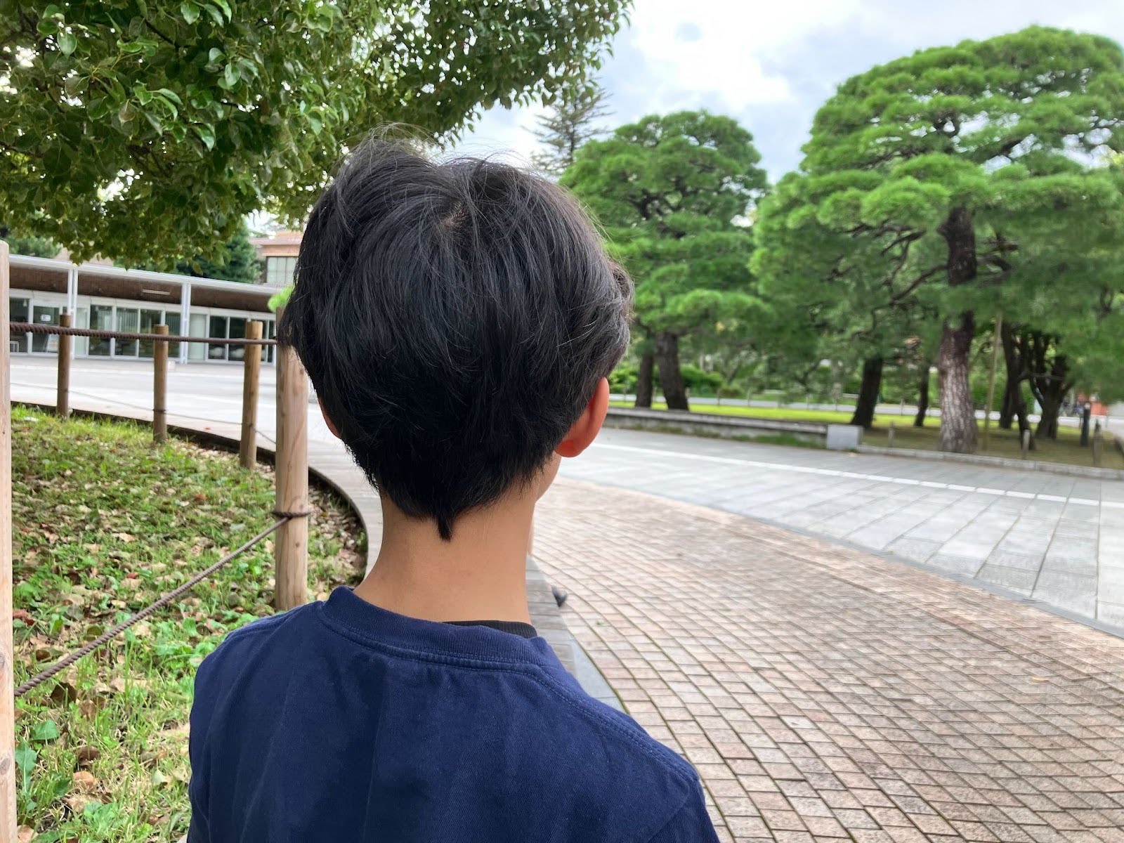 少年の後ろ姿